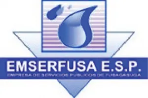 LOGO-EMSERFUSA-300x199